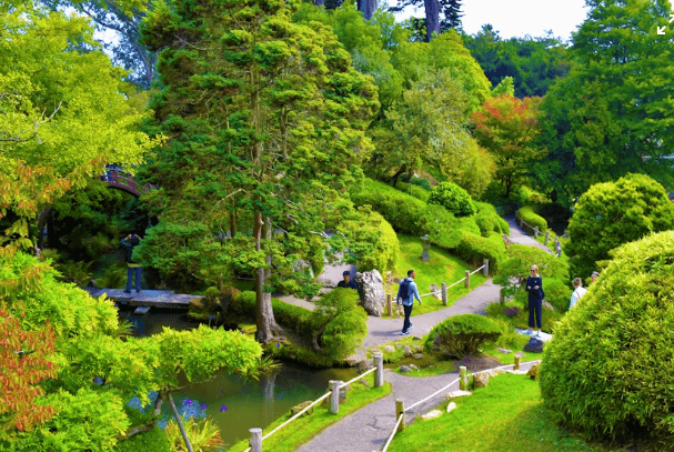 Stunning parks and views